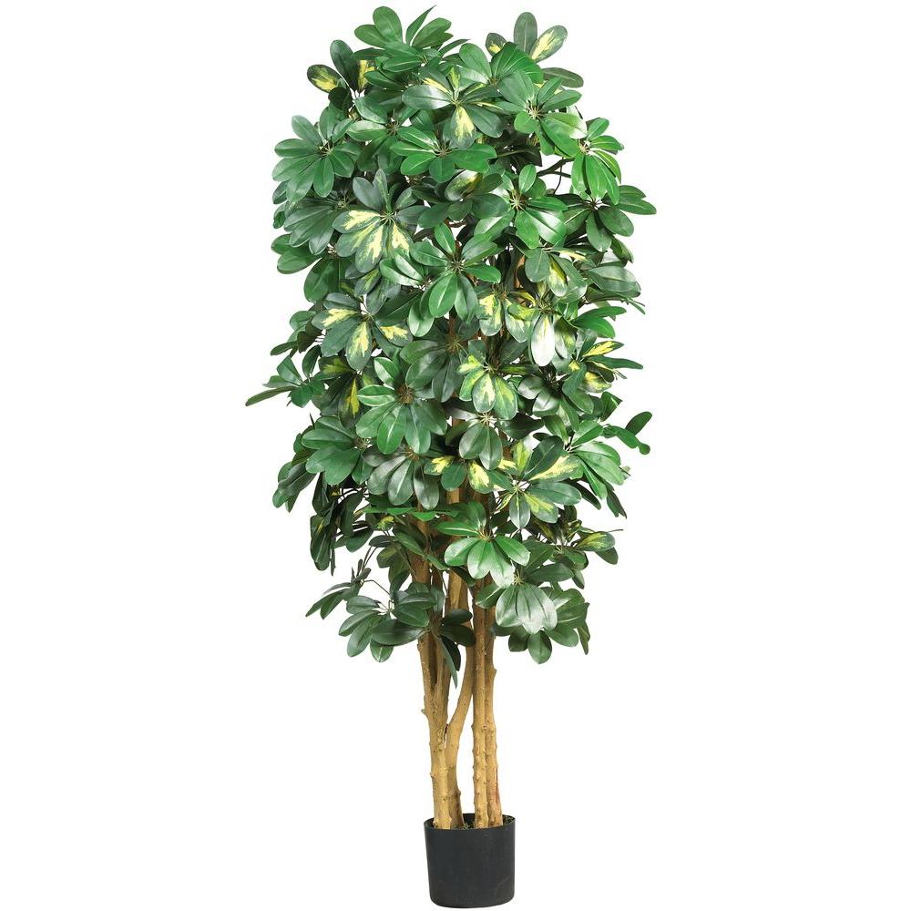 Nearly Natural 5 ft. Schefflera Silk Tree-5202 - The Home ...