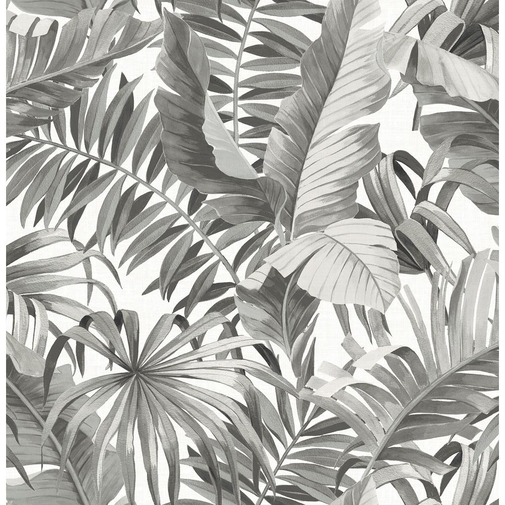 564 Sq Ft Alfresco Black Palm Leaf Wallpaper