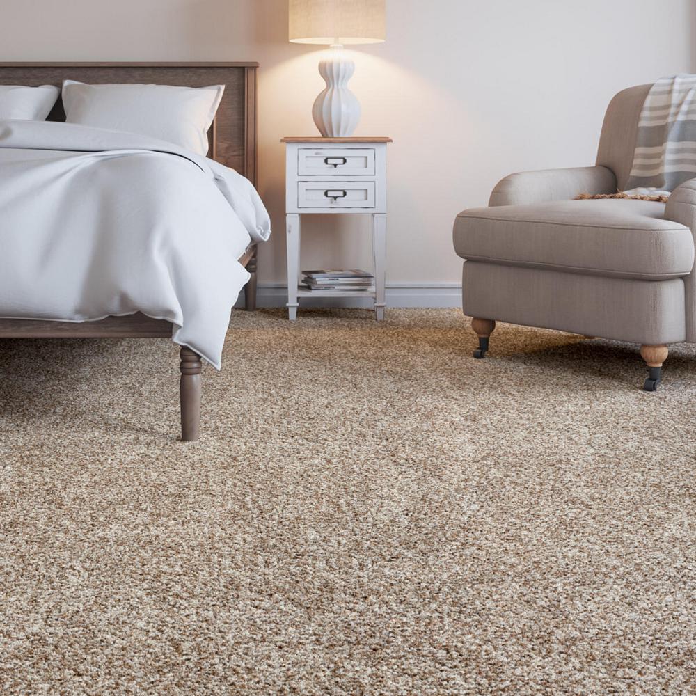 Indoor Carpet Carpet The Home Depot