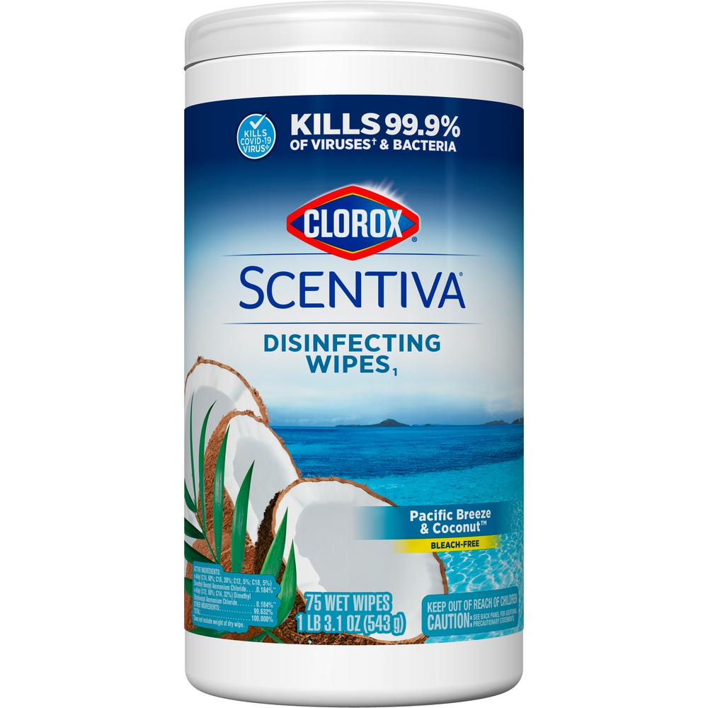 https://images.homedepot-static.com/productImages/d2572706-a282-4391-a55a-bc3e863293f6/svn/clorox-disinfecting-wipes-4460060037-64_1000.jpg