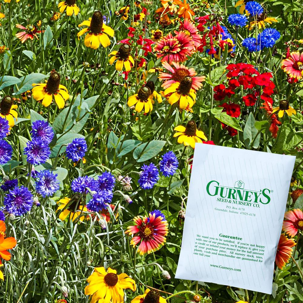 Gurney's Southeast Wildflower Seed Mixture (300Seed Packet)72969