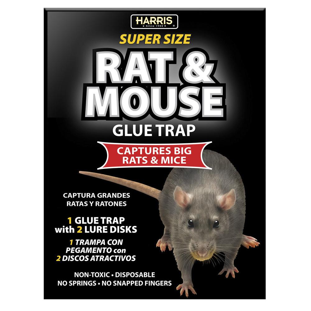 Harris Rat and Mouse Glue Trap - Super Size with Lure ...