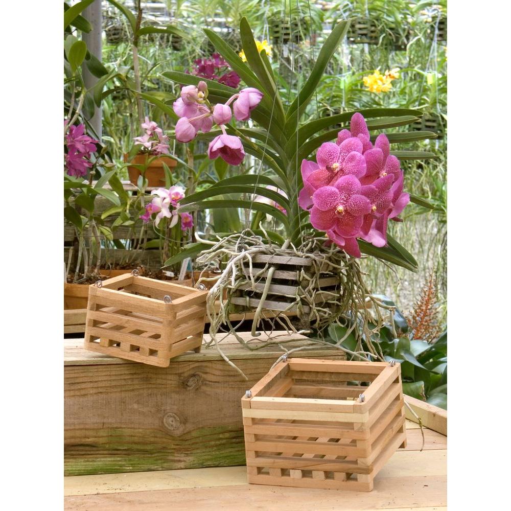 Wall Plant Holder Cotton Rope Wall Basket Woven Baskets Small Basket 7.9 x 6.7 Hanging Baskets for Organizing Signature Home 2pc Hanging Basket Mini Basket Brown Wall Hanging Storage Basket