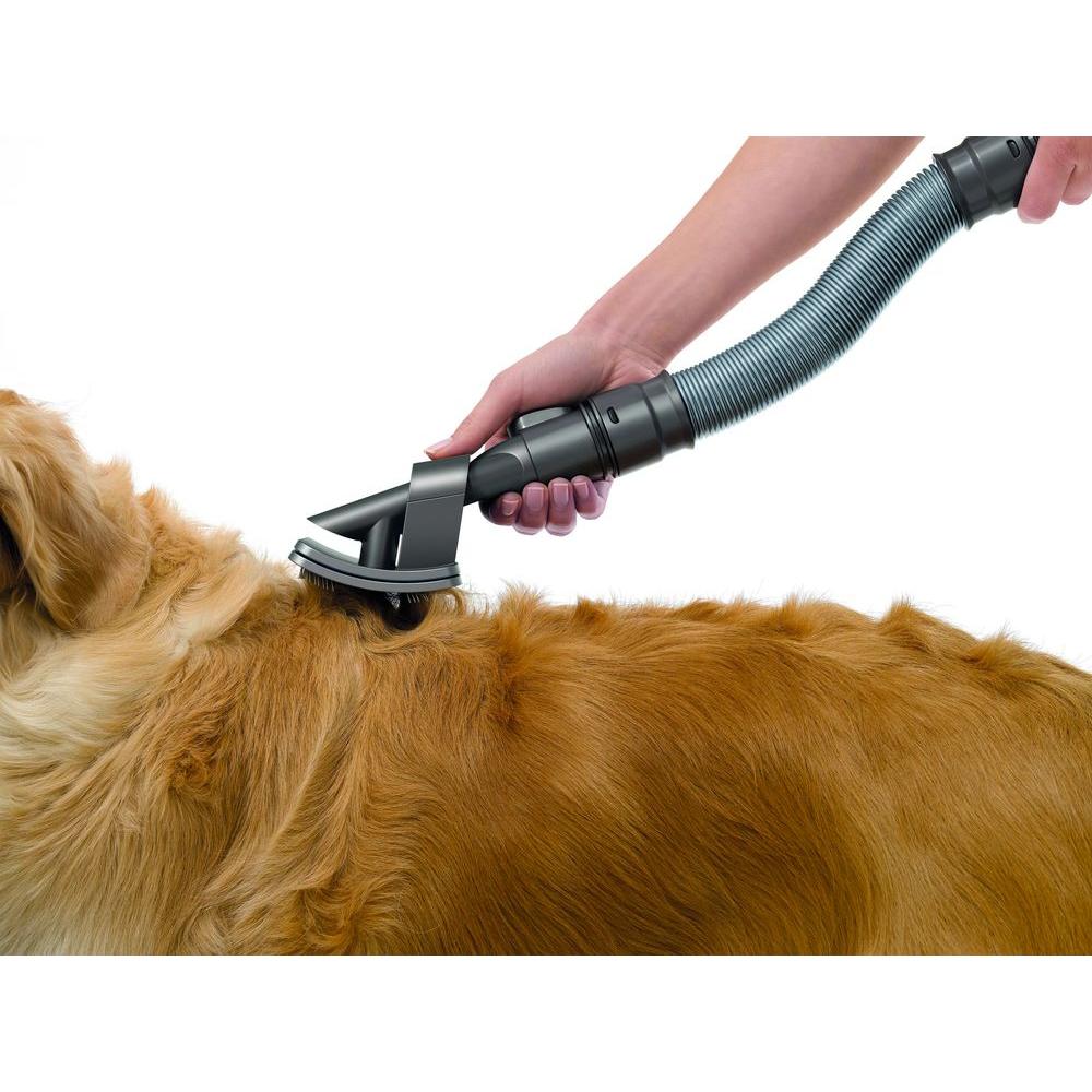 dyson dog brush