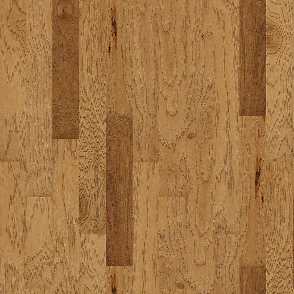 Shaw Take Home Sample Bradford Oak Natural Oak Engineered Hardwood