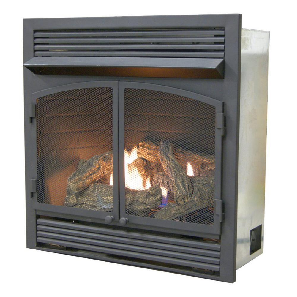 29 in. Ventless Dual Fuel Fireplace Insert with Remote Control