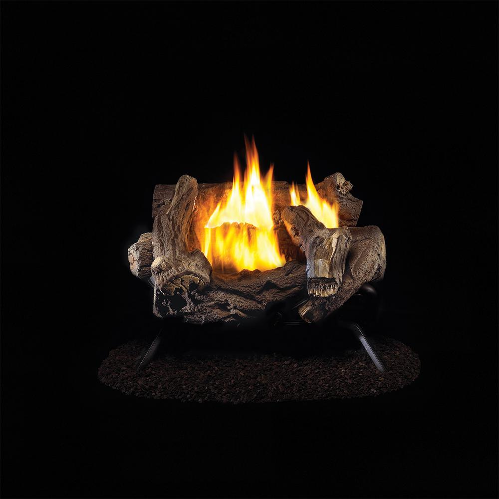Procom 18 In Vent Free Propane Gas Log Set With Manual Control 210080 The Home Depot - Ventless Propane Fireplace Log Set Procom 18 In Vent Free Propane Gas Log Set With Manual Control 210080 The Home Depot - Ventless Propane Fireplace Log Set