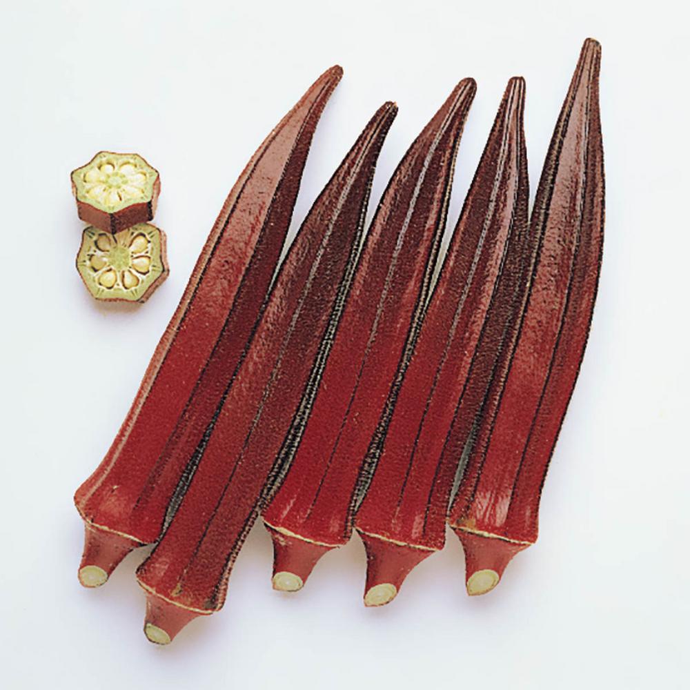 Gurney's Okra Burgundy Vegetable Seeds (100 Seed Packet)85871 The