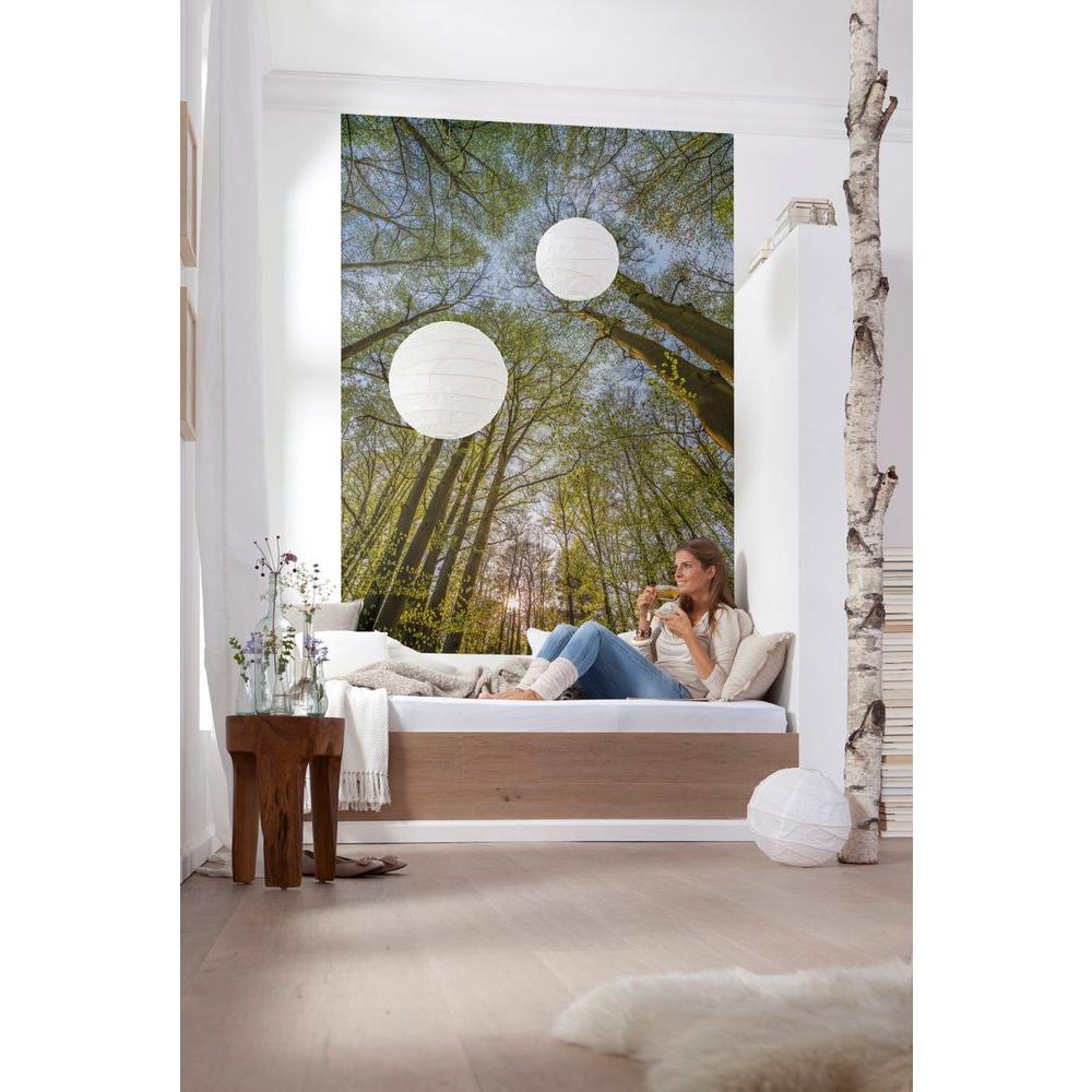 Komar 100 in. x 145 in. Canopy Wall Mural4522 The Home Depot