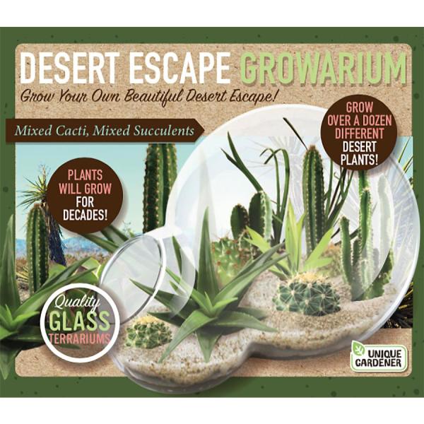 Unique Gardener Double Sphere Glass Terrariums Desert Escape Growarium Indoor Garden Terrarium Indoor Garden Seed Starter Kit The Home Depot