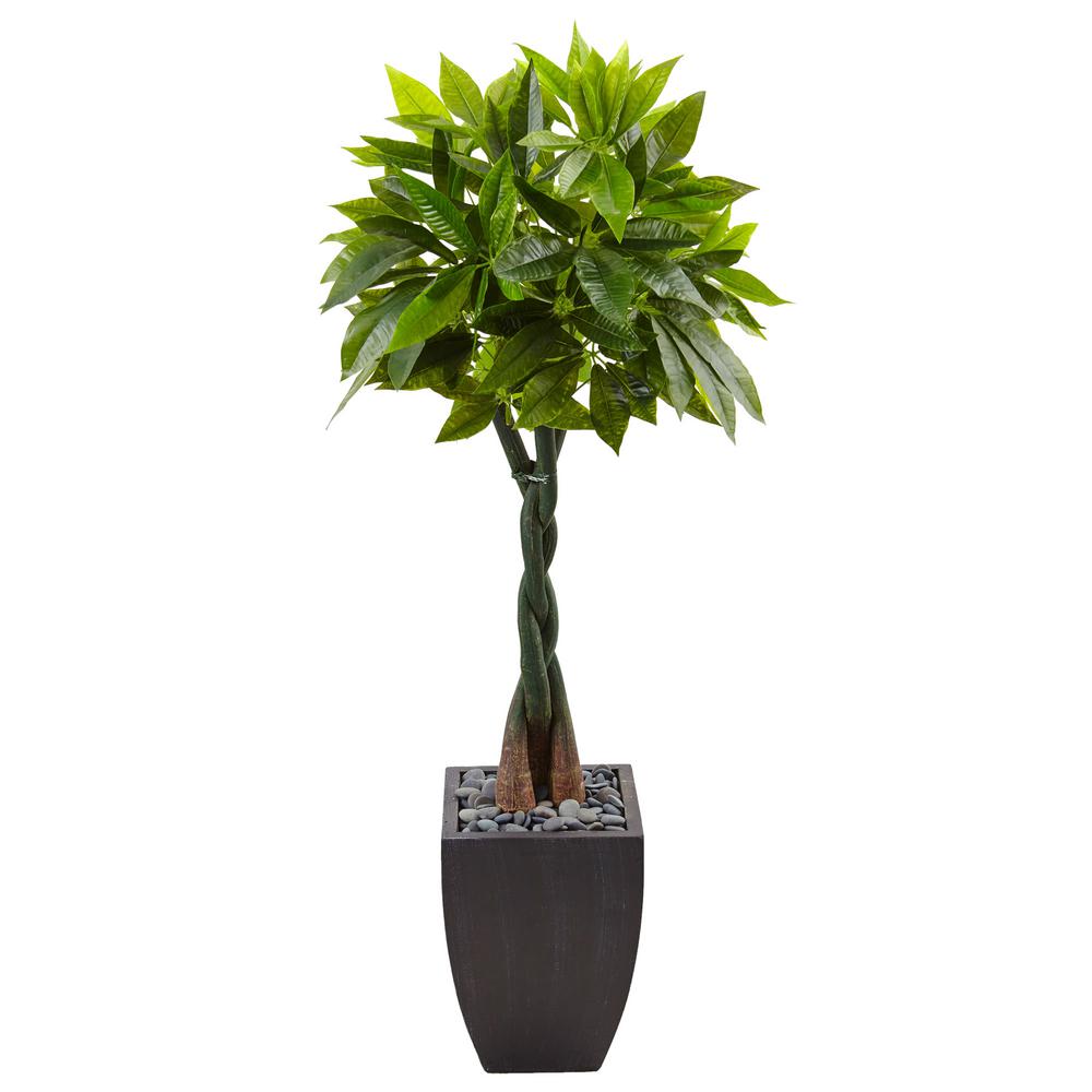 Nearly Natural Indoor Money Artificial Tree In Black Square Planter Nearly Natural Indoor Money Artificial Tree In Black Square Planter 5978 The Home Depot