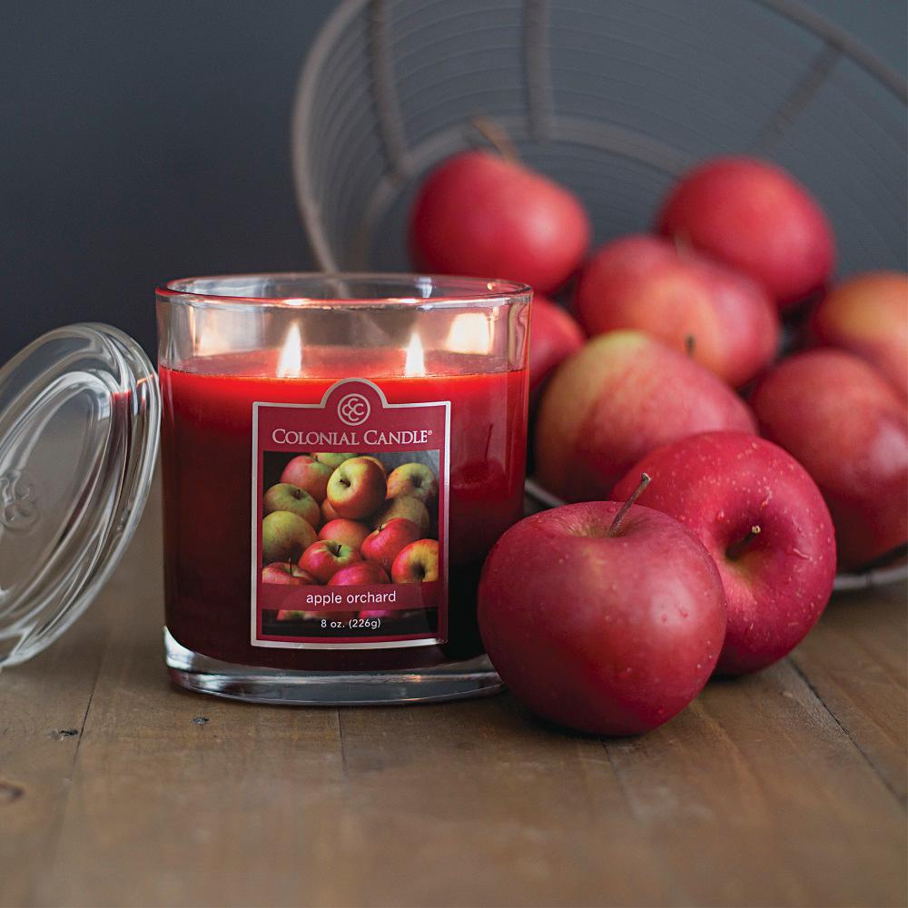 UPC 048019625104 product image for 22 oz. Apple Orchard Oval Jar Candle, Red | upcitemdb.com