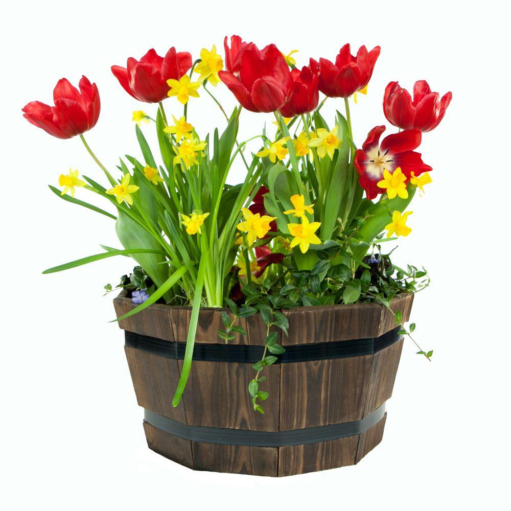 Half Barrel Flower Pots Planters Compare S At Nextag Dia Dark Flame Wood Barrel Brown