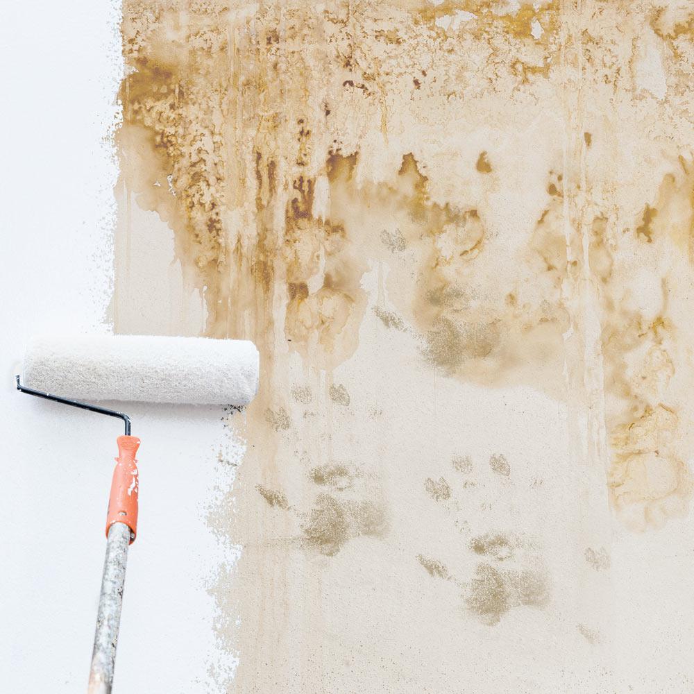Glidden Gripper 1 Qt Interior Exterior White Primer Gripper Interior Exterior White Primer