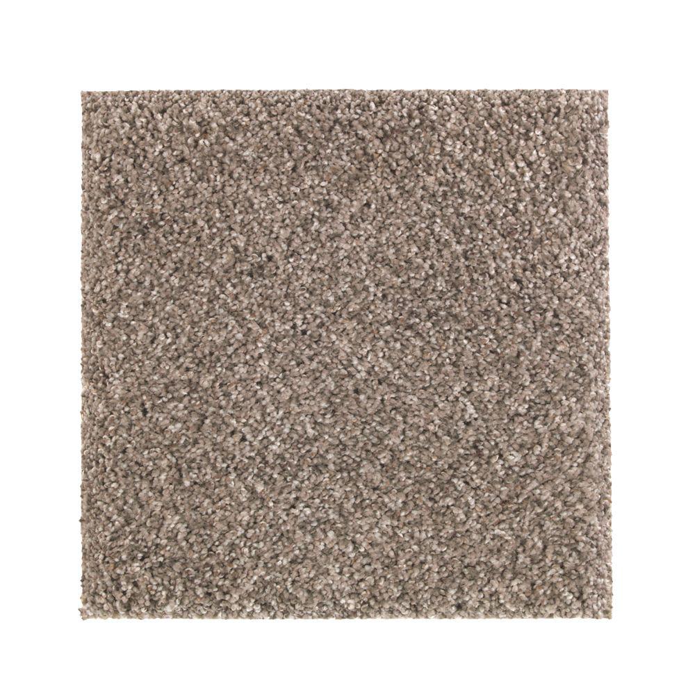 Lifeproof with PetProof Technology Carpet Sample - Maisie ...