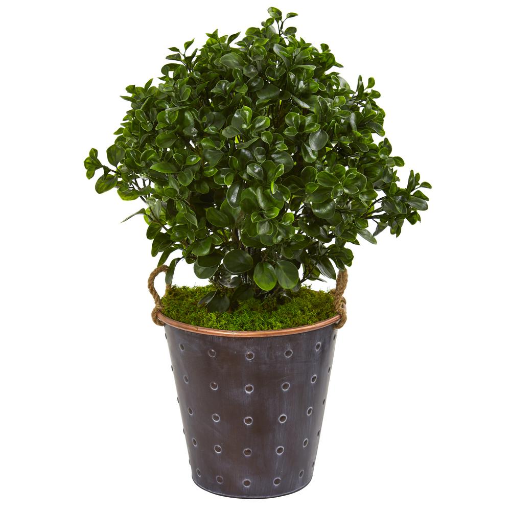 Nearly Natural Indoor/Outdoor 30 in. Peperomia Artificial Plant in Sand Stone Planter UV
