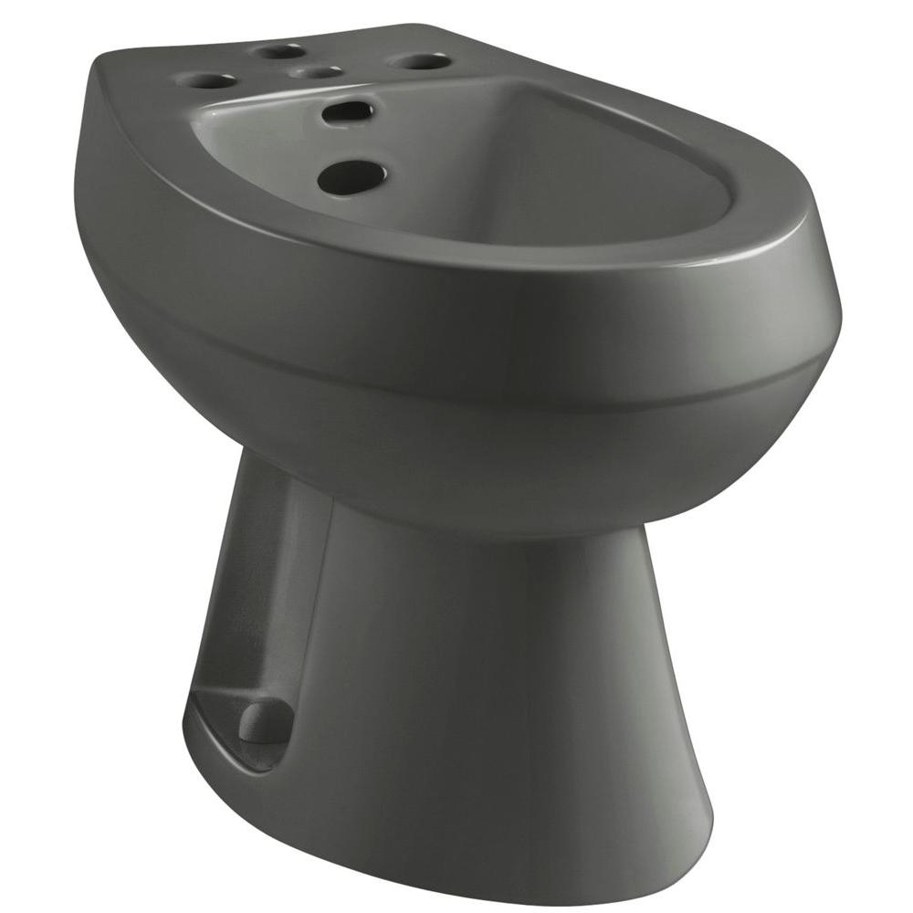 KOHLER San Tropez Elongated Bidet In Thunder Grey-K-4854-58 - The Home ...