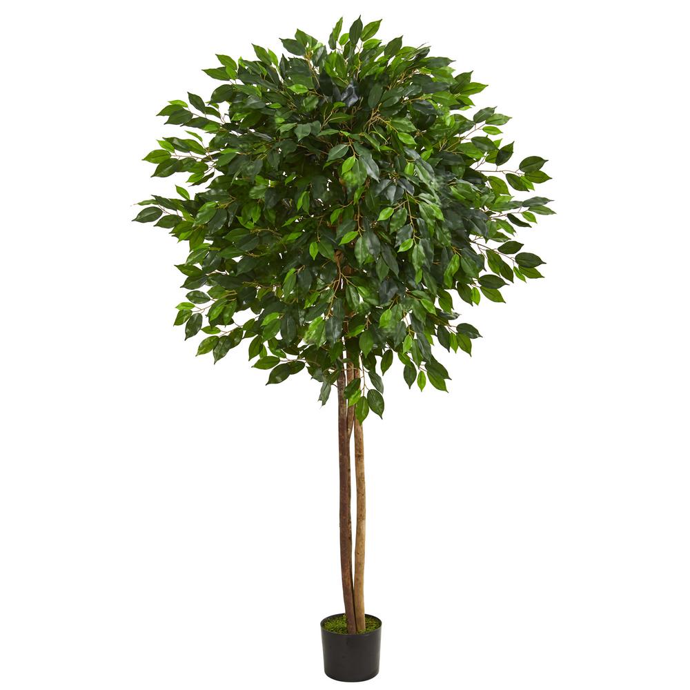 artificial ficus tree