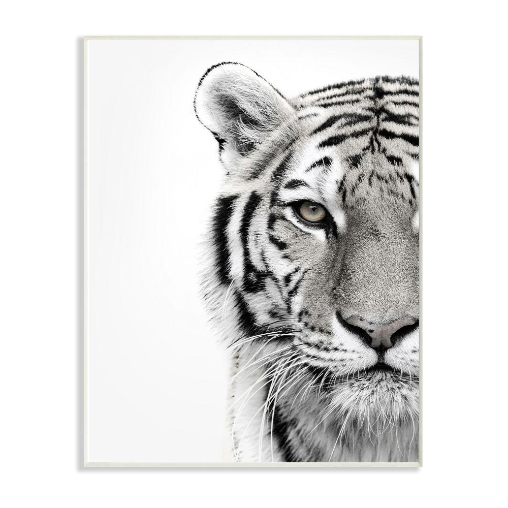 The Stupell Home Decor Collection 10 In X 15 In White Tiger Close Up Black And White Photography By Design Fabrikken Wood Wall Art Aap 293 Wd 10x15 The Home Depot