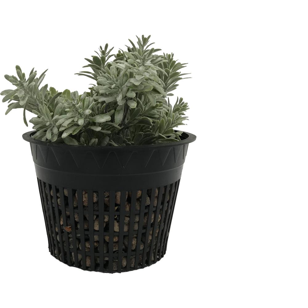 Viagrow 6 in. Net Pots, Round Cup with Slotted Plastic Mesh (25pack