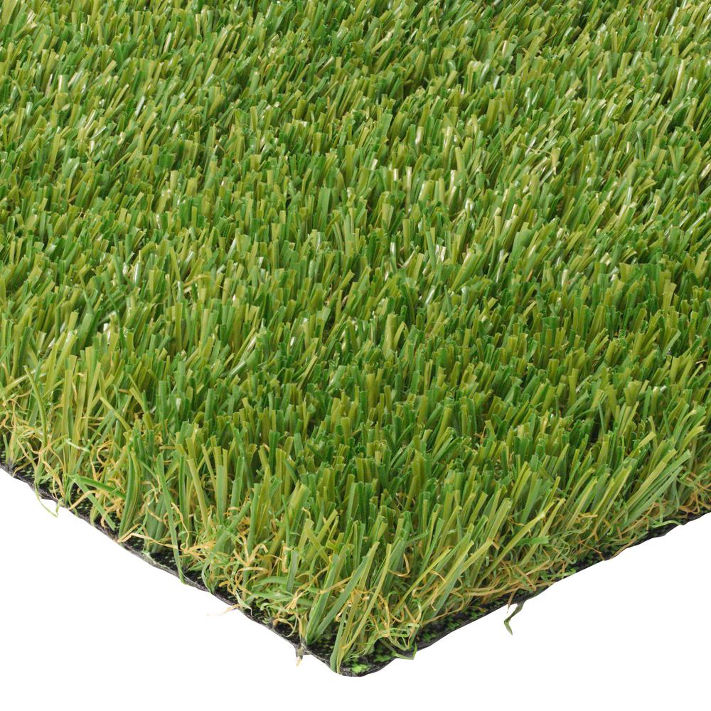 Trafficmaster Pet 6 Ft X 7 5 Ft Artificial Grass Pet Turf Stem