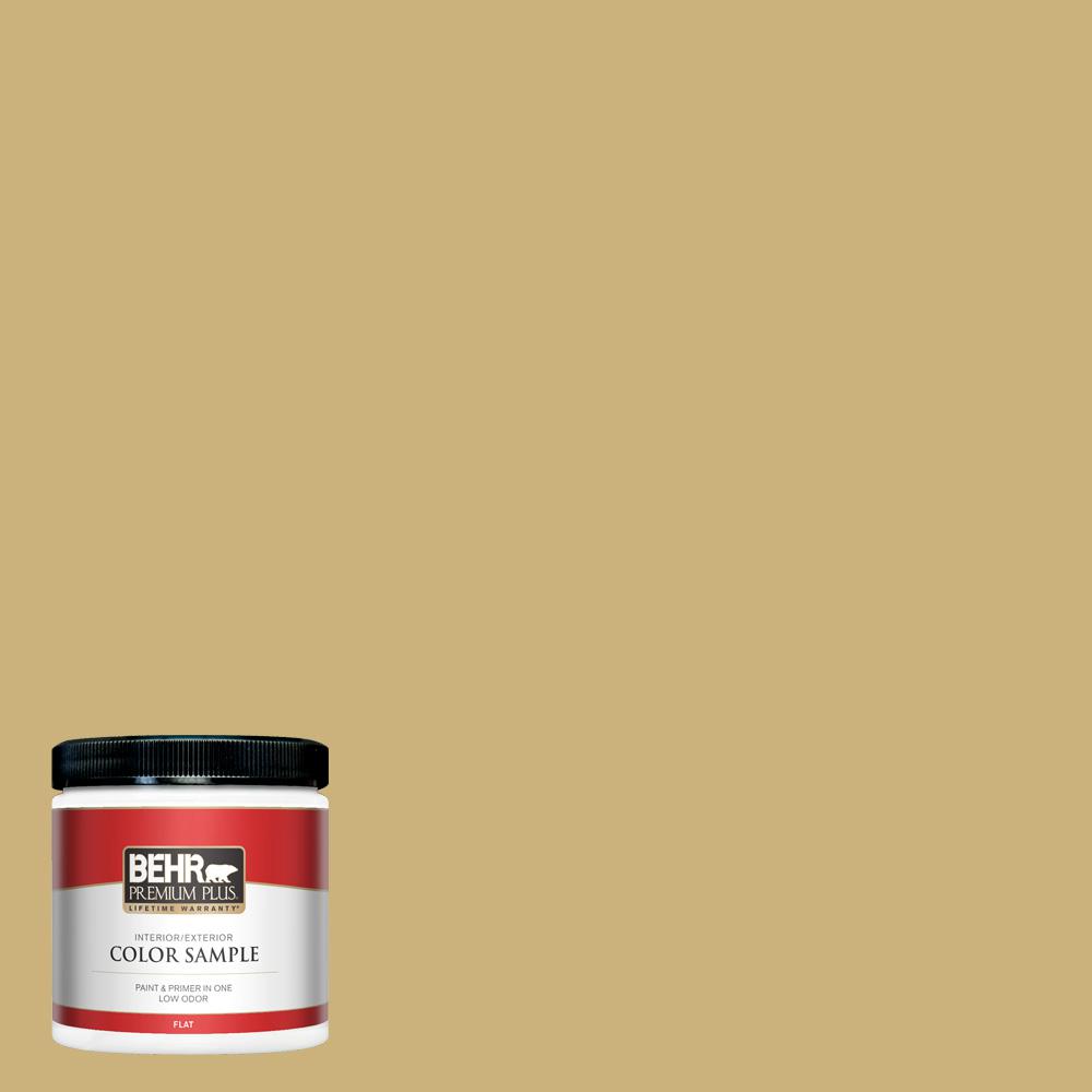Seagrass Paint Color Home Depot Paint Color Ideas