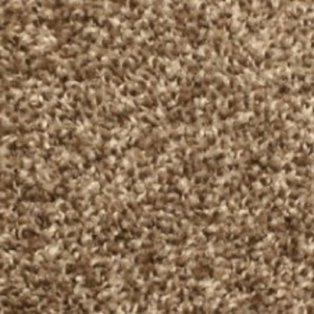 TrafficMASTER Carpet Sample Lake View Color Reflection Texture 8 in