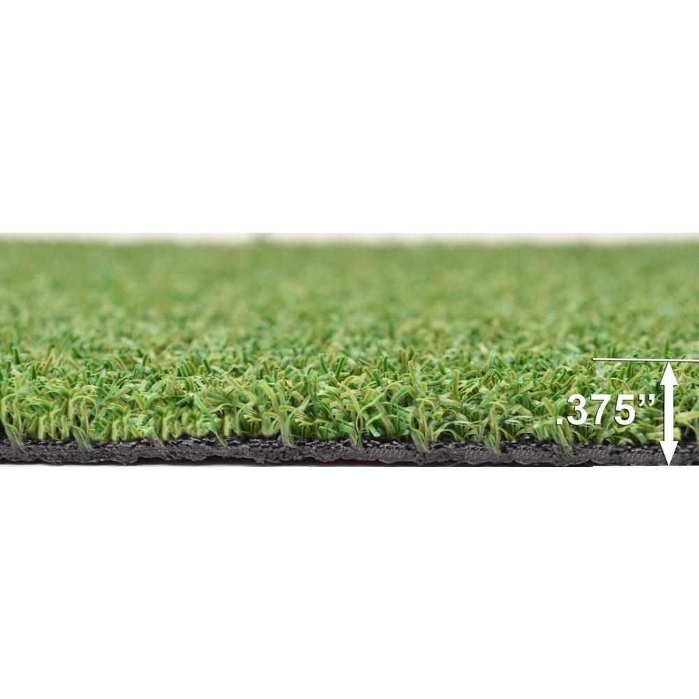 Turf Evolutions 12 ft. x 75 ft. TruGrass Luxury Spring Indoor/Outdoor Green... by Turf Evolutions