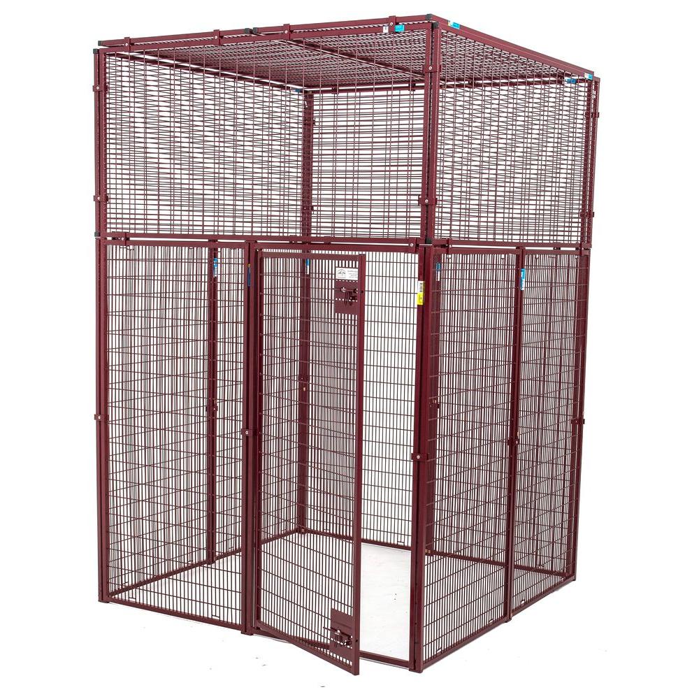 lucky dog animal house