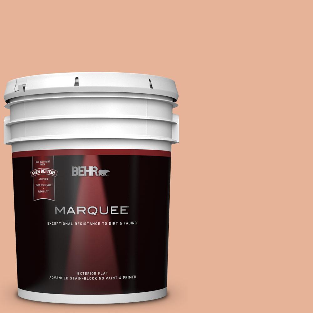 BEHR MARQUEE 5 gal. #M210-4 Peach Shortcake Flat Exterior ...