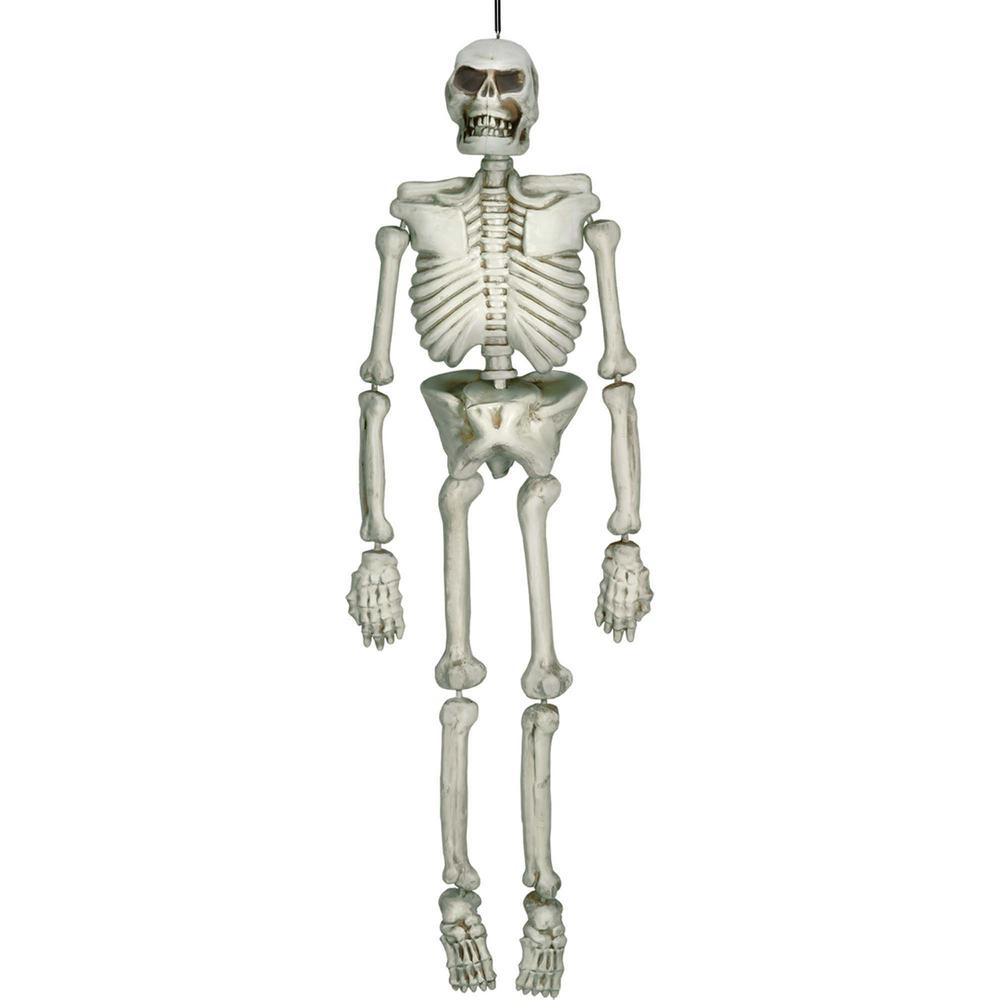 54 in. Halloween Life Size Skeleton