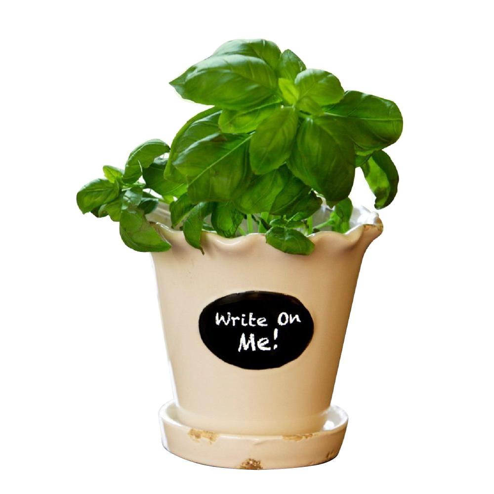 Norcal Pottery 5.5 in. Whitecap Ceramic Chalkboard Herb Pot100512513