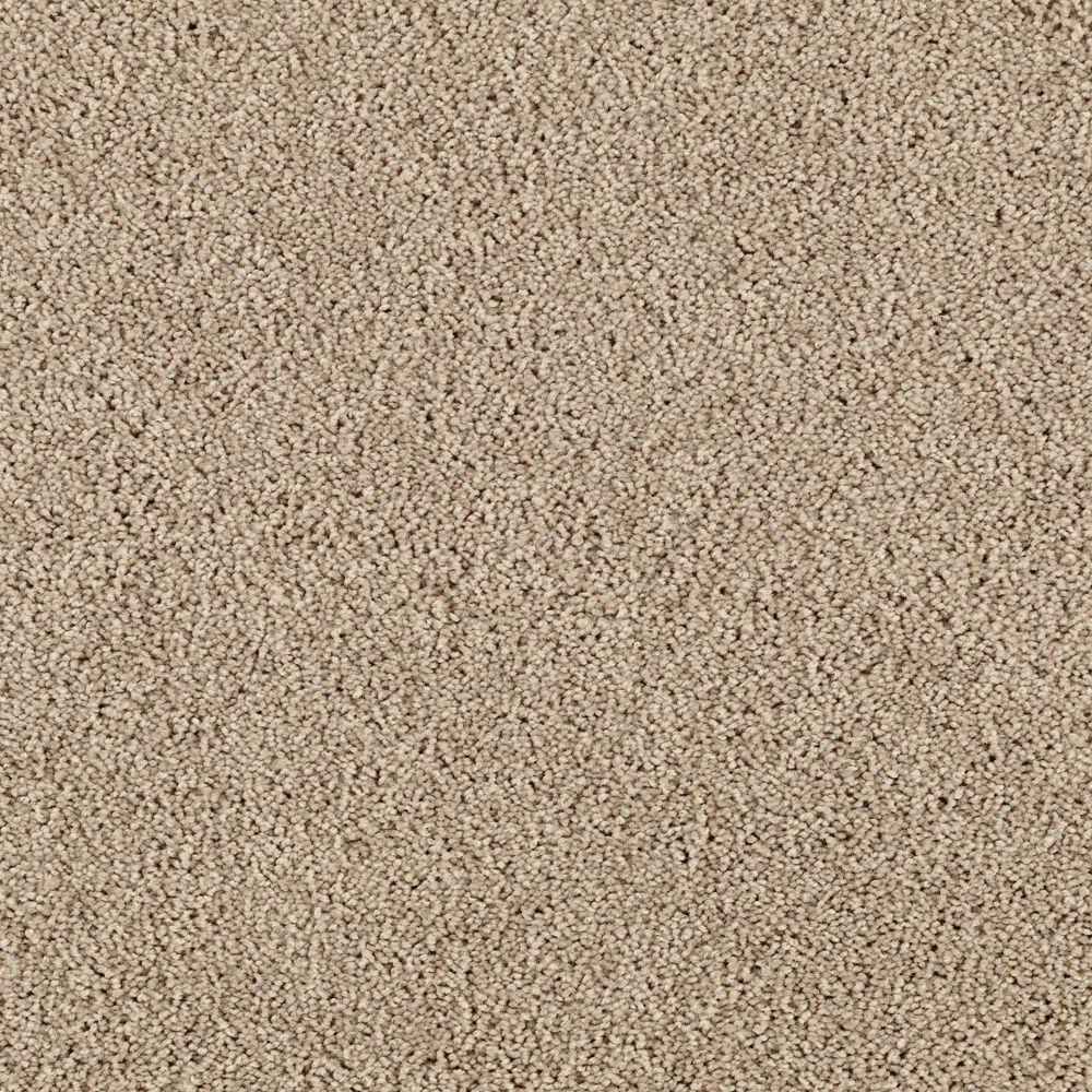 Trafficmaster Lucky Ticket Color Nomad Texture 12 Ft Carpet 0275d Trafficmaster Lucky Ticket Color Nomad Texture 12 Ft Carpet 0275d 21 The Home Depot