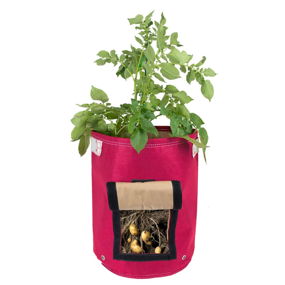 Bloem Bloembagz Potato Vegetable Planter Grow Bag 9 Gallon Amaranth Bloem Bloembagz Potato Vegetable Planter Grow Bag 9 Gallon Amaranth