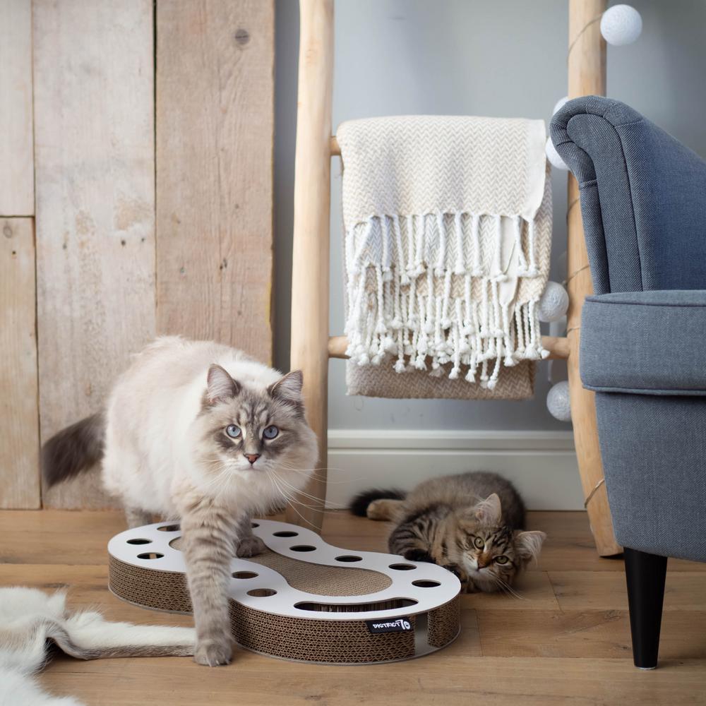 cardboard cat scratcher pets at home