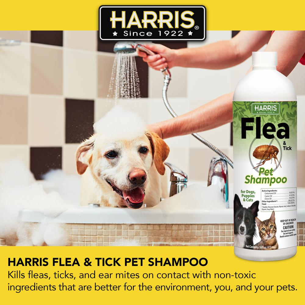 Does Flea And Tick Shampoo Kill Mites Www Spinephysiotherapy Com