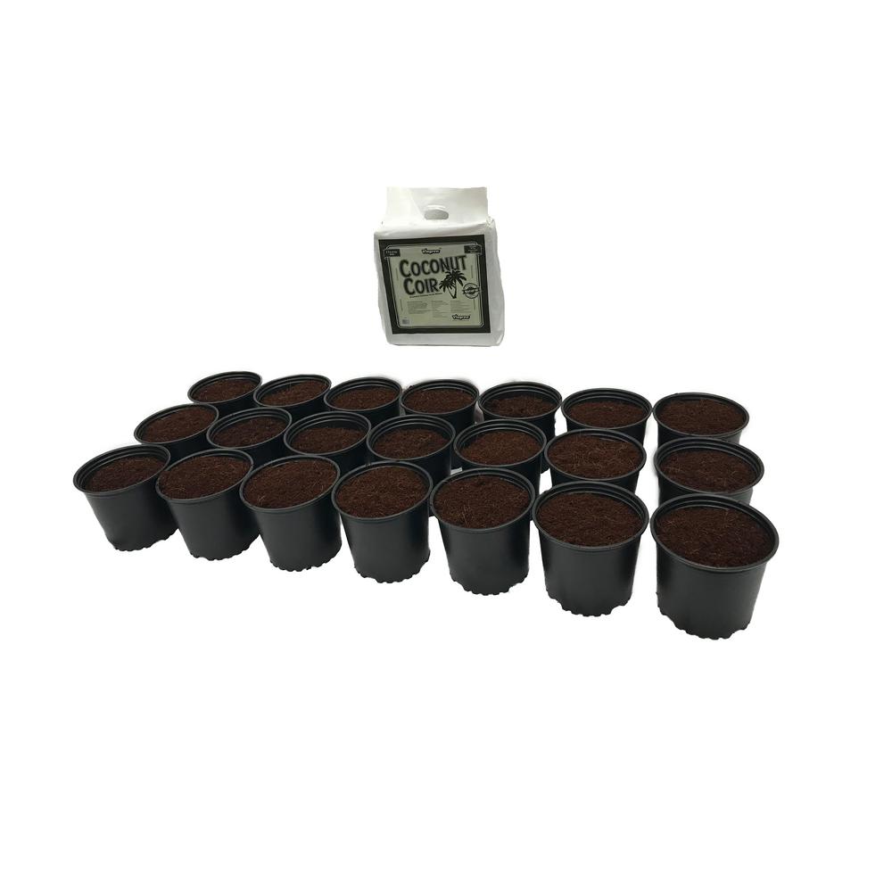 Hydroponics Organic 3 Gal Plastic Nursery Pots 11 36 L 10 Pack 1 Gal Plastic Nursery Pots 3 78 L With Coconut Coir Growing