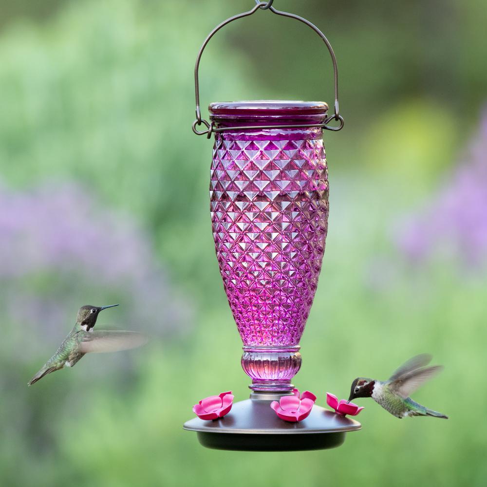 Perky Pet Diamond Wine Top Fill Decorative Glass Hummingbird