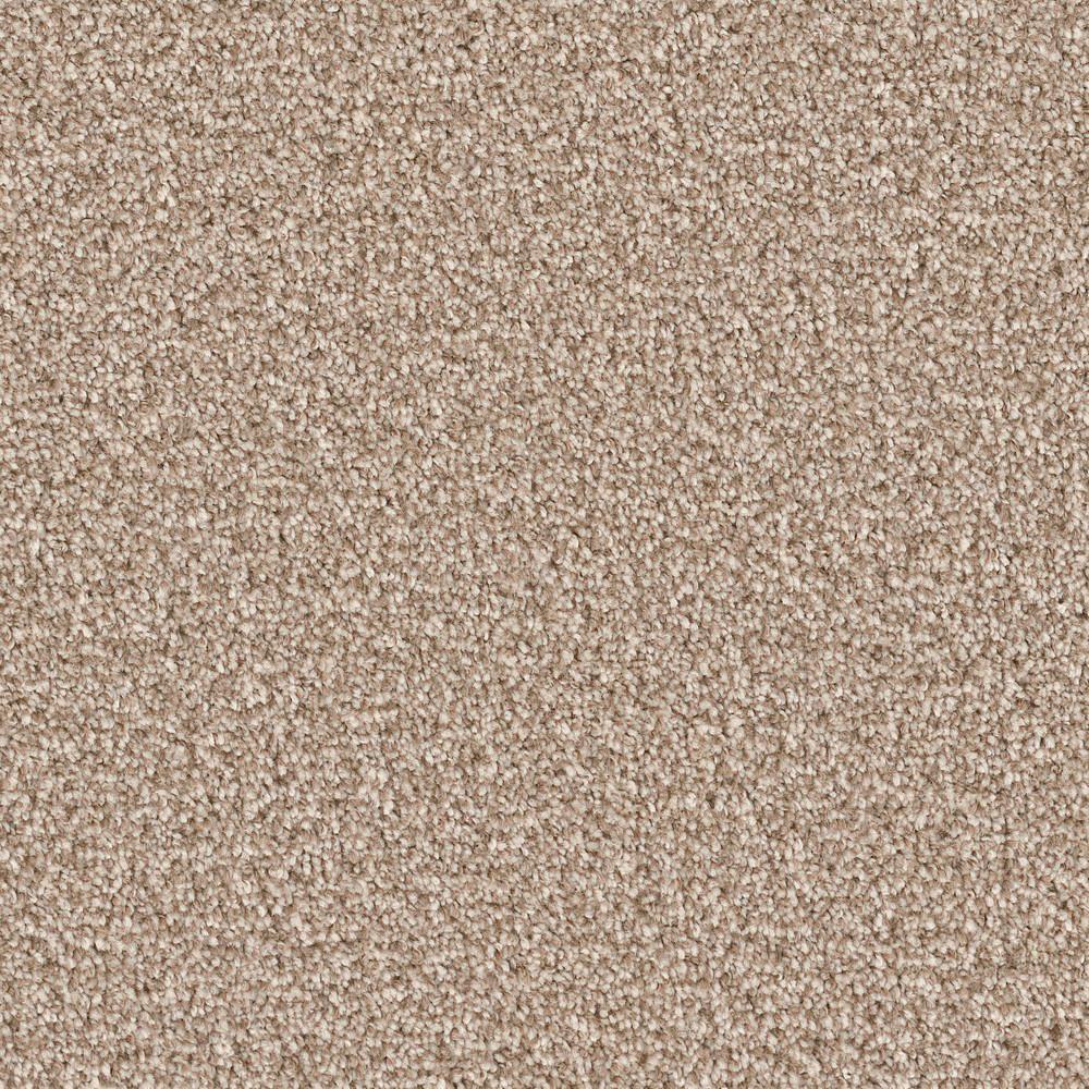 Browns / Tans Hypoallergenic Carpet Carpet & Carpet Tile The