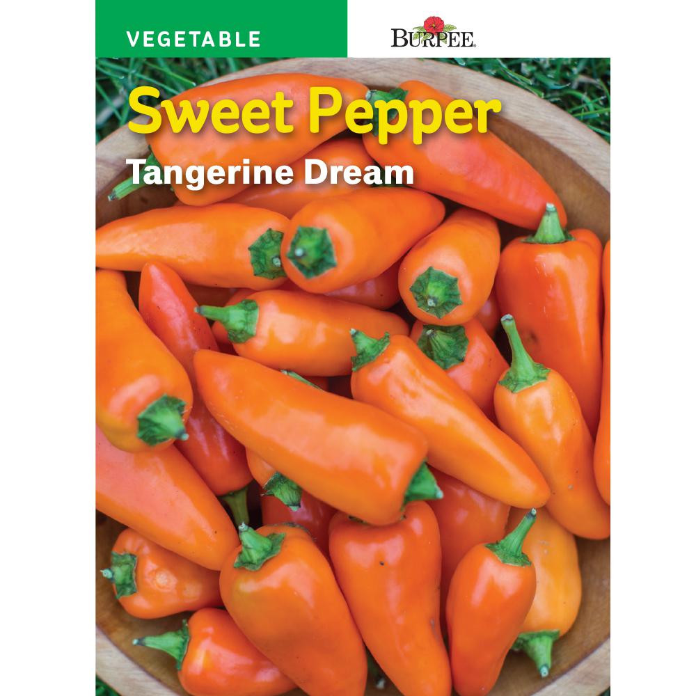 red pepper orange