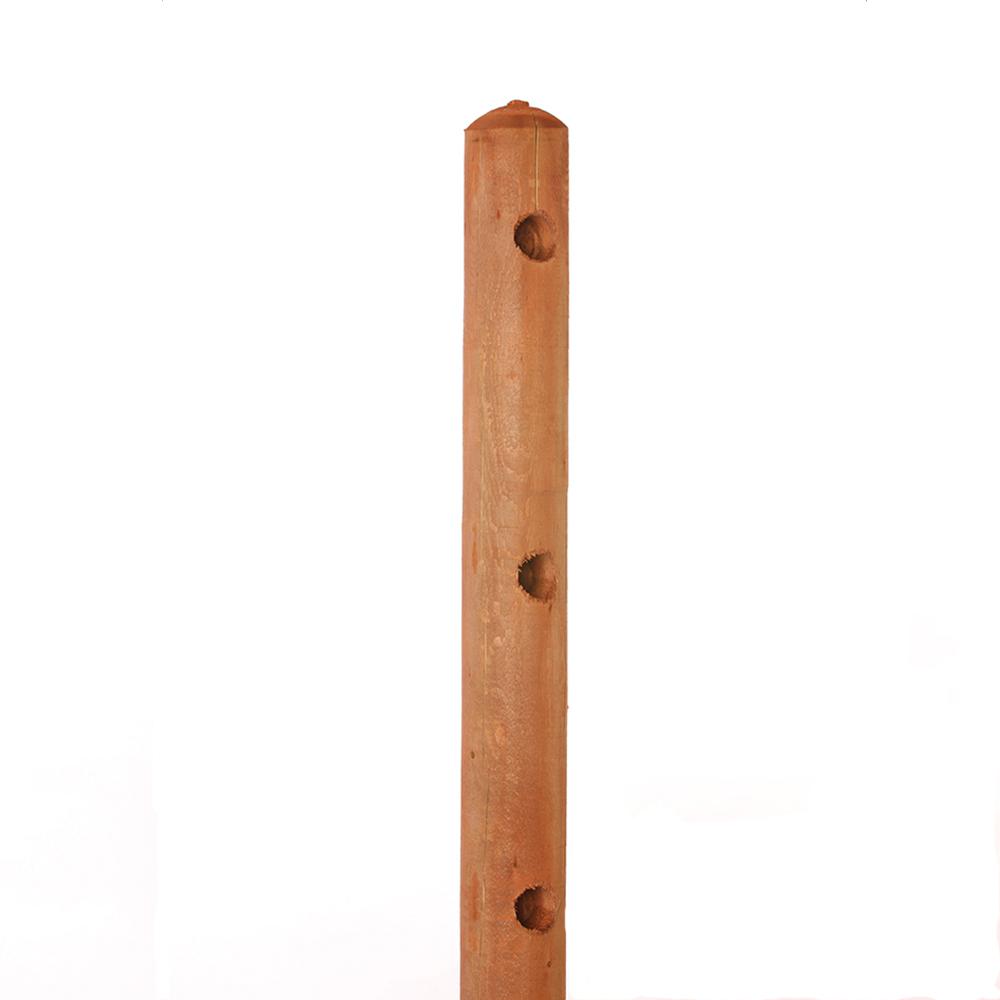 5 in. x 5 in. x 61/2 ft. PressureTreated Pine 3Hole Fence End Post