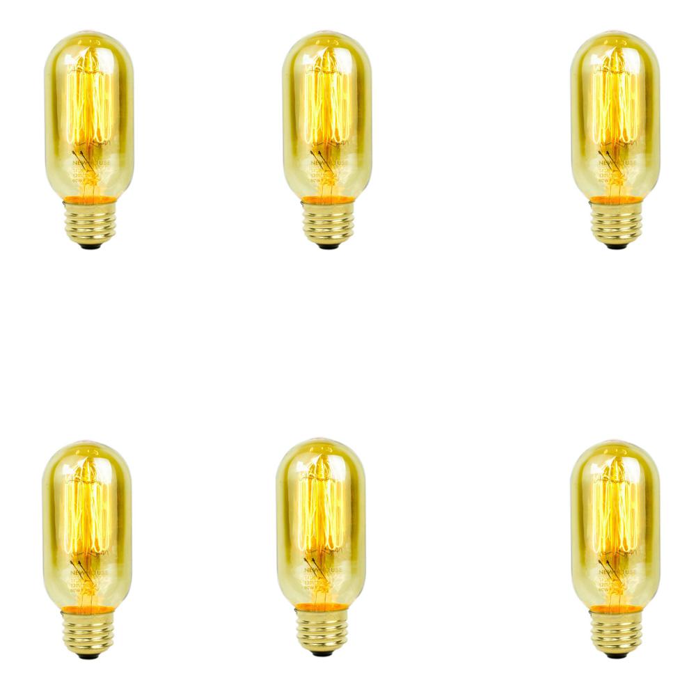Newhouse Lighting 60 Watt Incandescent T45 Thomas Edison Vintage Filament Light Bulb 6 Pack Newhouse Lighting 60 Watt Incandescent T45 Thomas Edison Vintage Filament Light Bulb 6 Pack
