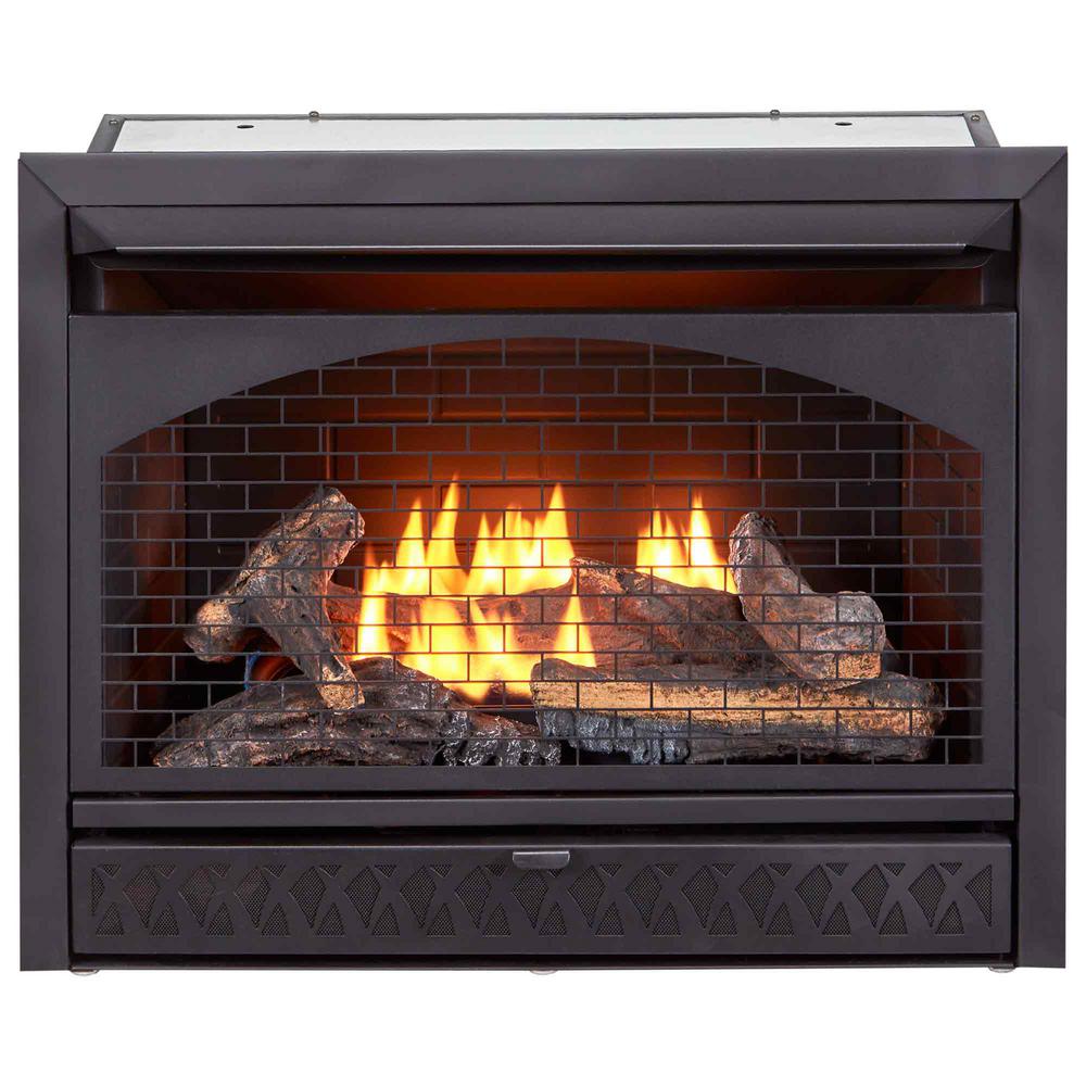 ProCom Gas Fireplace Insert Duel Fuel Technology - 26,000 ...