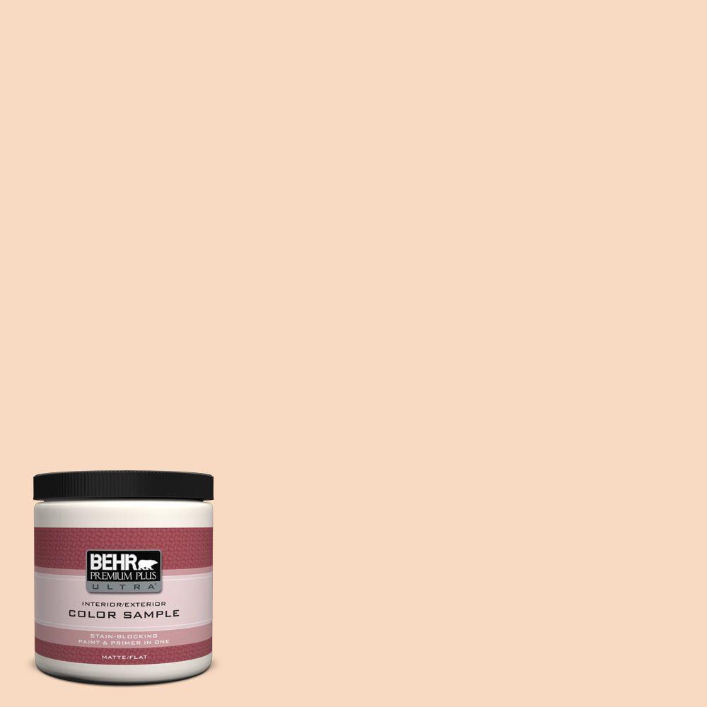 Behr Premium Plus Ultra 8 Oz M220 2 Pumpkin Essence Matte Interior M220 2 Pumpkin Essence Matte Interior