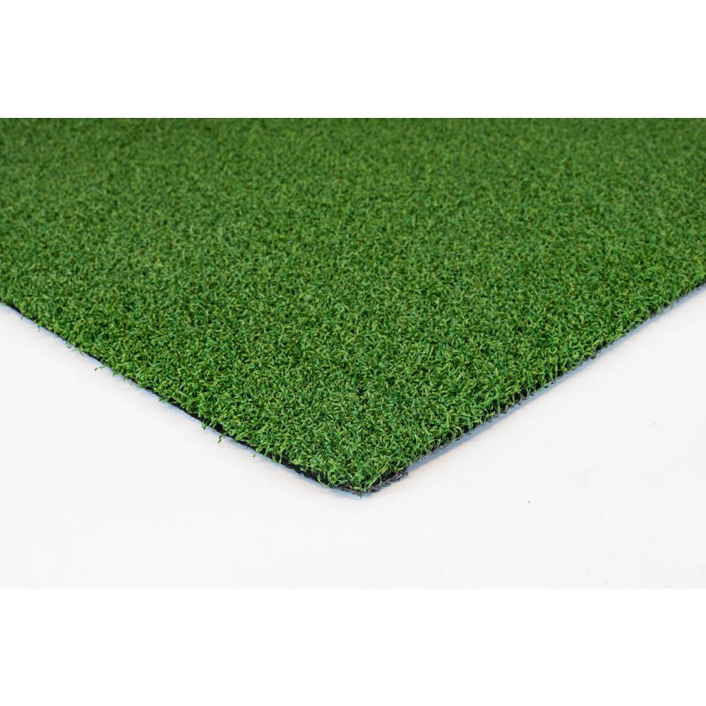 Trafficmaster Putting Green Artificial Grass Synthetic Lawn Turf