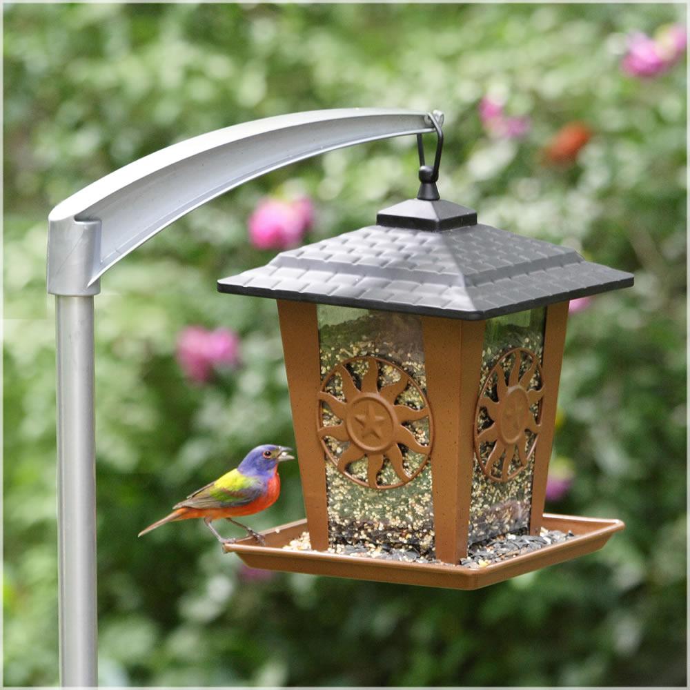 Perky Pet Sun And Star Lantern Hanging Bird Feeder 3 5 Lb