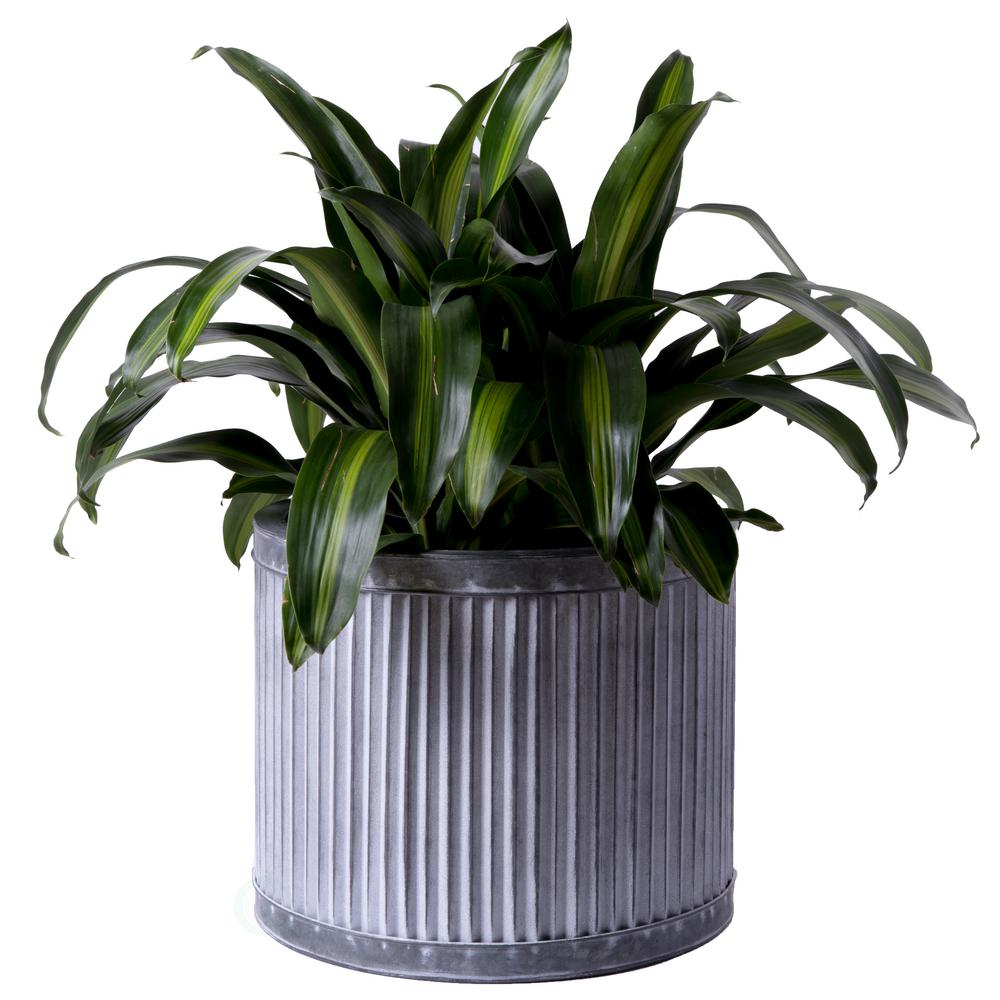 Vintiquewise Galvanized Metal Rustic Medium Milk Can Qi003292 M
