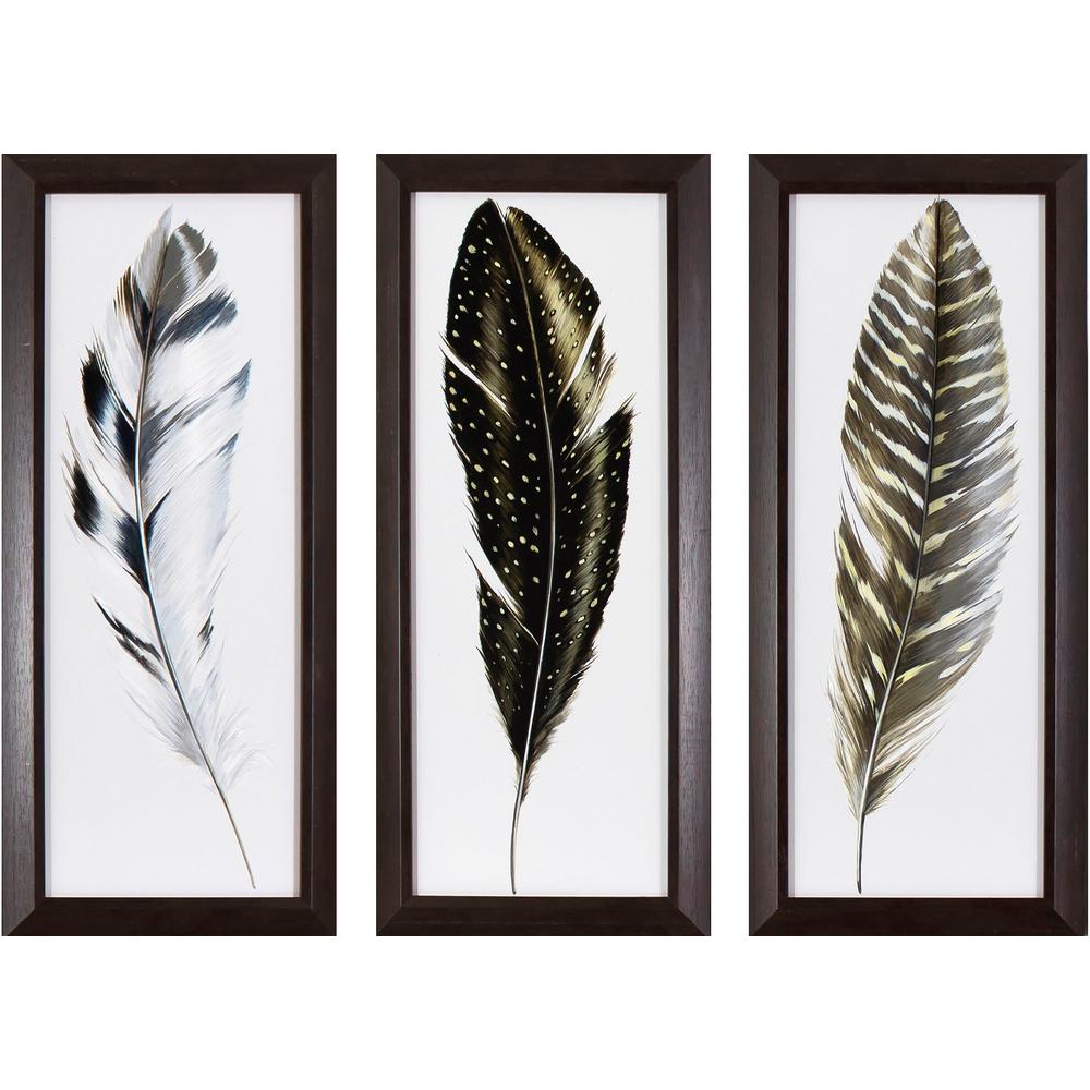 Decor Therapy 21.75 in. x 9.75 in. Watercolor Feathers Printed Framed
