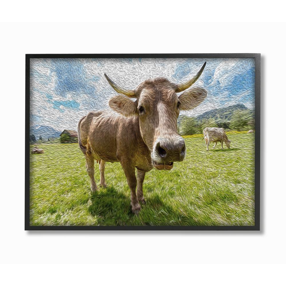 The Stupell Home Decor Collection 16 In X 20 In Fish Eye Swirled Look Cows In A Pasture Painting By Ricki Rossi Framed Wall Art Aap 269 Fr 16x20 The Home Depot