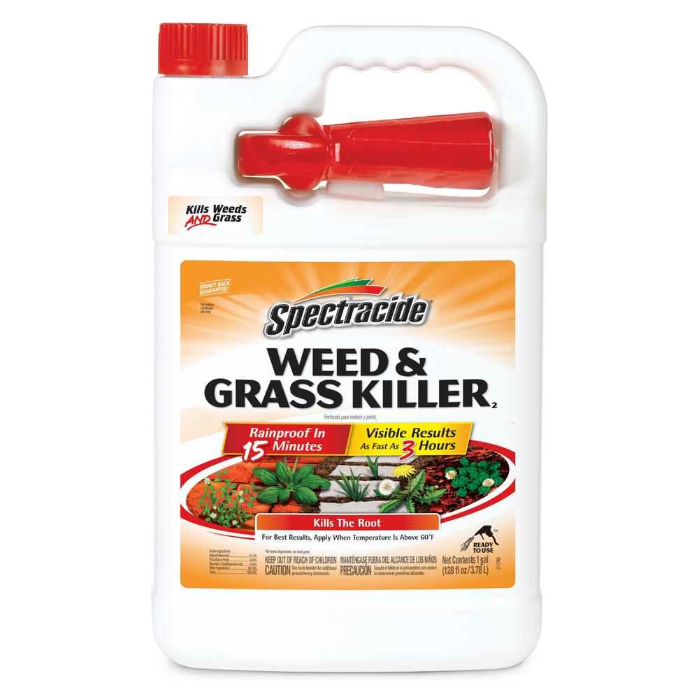 Compare N Save 1 Gal Grass And Weed Killer Glyphosate Concentrate 75324 The Home Depot